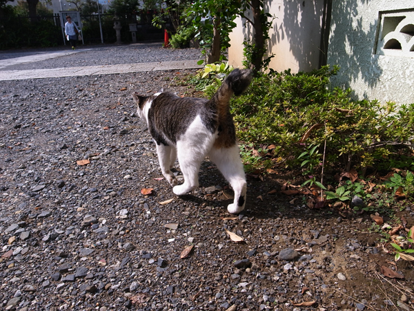 c0048265_17254175.jpg