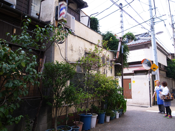 c0048265_1728640.jpg