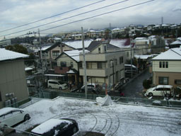 a0055866_19364411.jpg