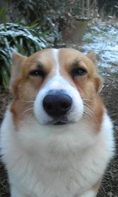 e0143667_1663373.jpg