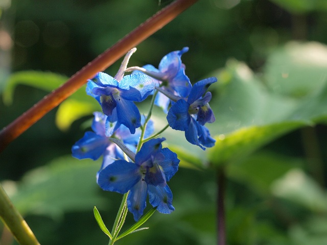 d0025568_20222730.jpg