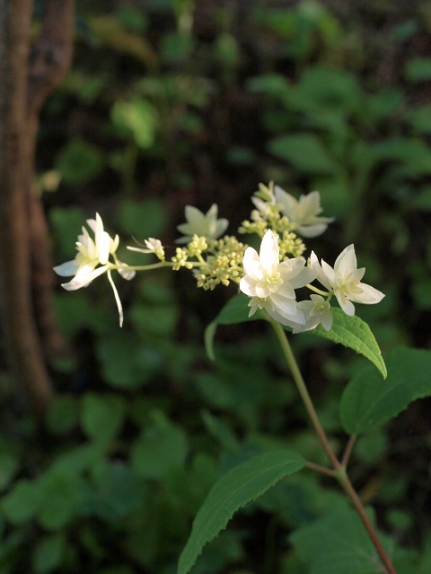 d0025568_20235039.jpg