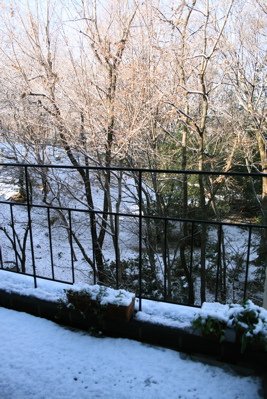 d0000274_1331330.jpg
