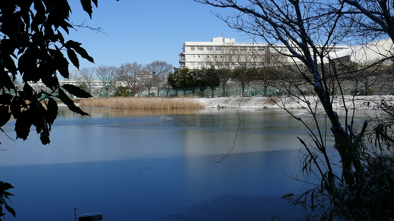 a0185081_1951474.jpg