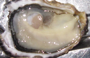 f0003283_1853083.jpg