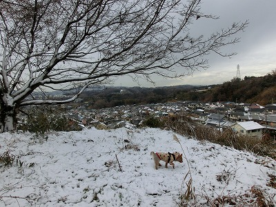 e0123587_2019718.jpg
