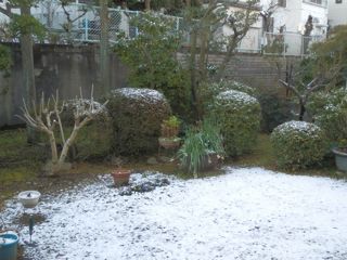 f0130894_21335232.jpg
