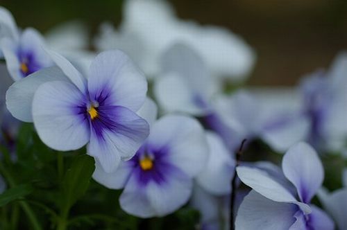 f0201297_2313839.jpg