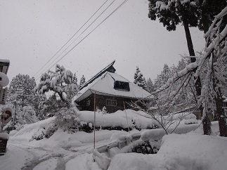 c0187298_18483127.jpg