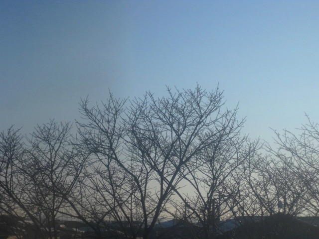 f0236201_802816.jpg