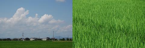 b0189603_12245750.png