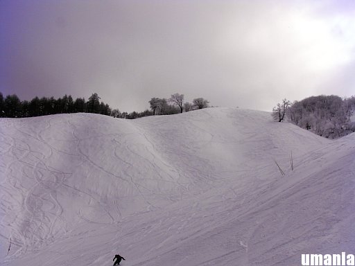 b0061004_7125015.jpg