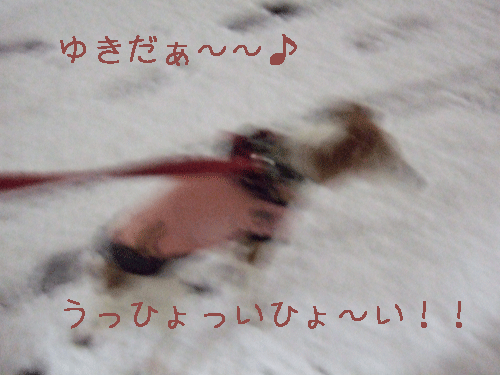 c0031808_2027104.gif