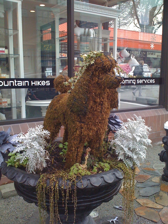 e0247410_2304560.jpg