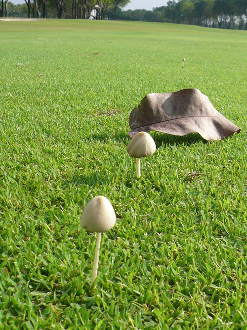 f0233916_051434.jpg