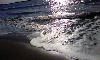 d0024220_20413858.jpg