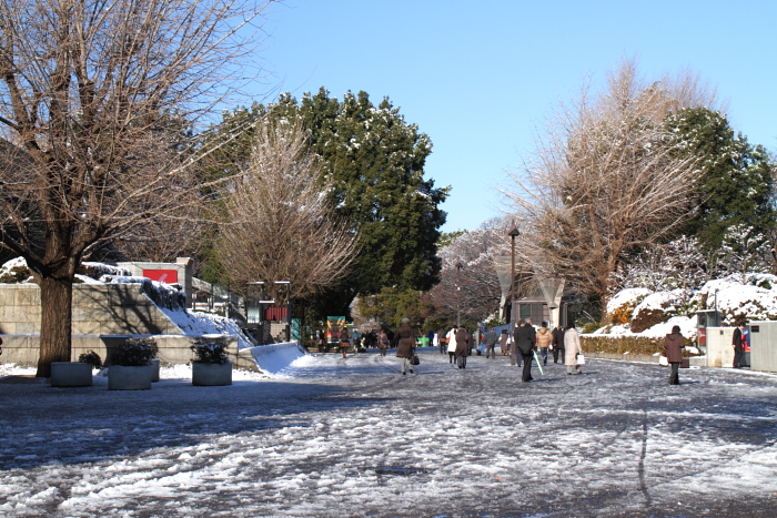 c0215627_9252890.jpg