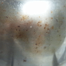 d0048332_19543216.gif
