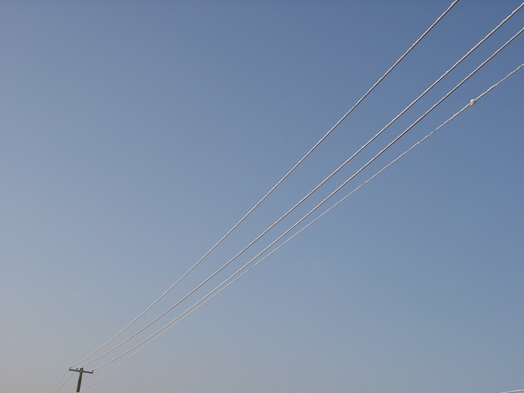 d0007735_859335.jpg