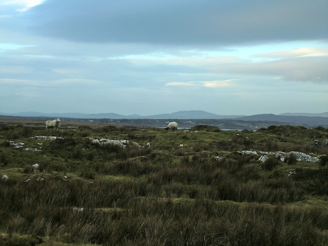 c0170236_35863.jpg