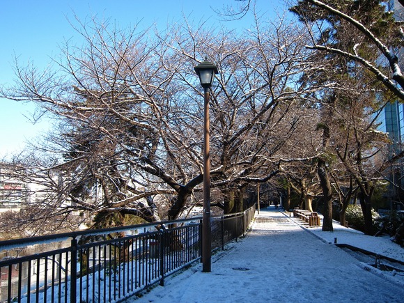 a0219537_0365618.jpg