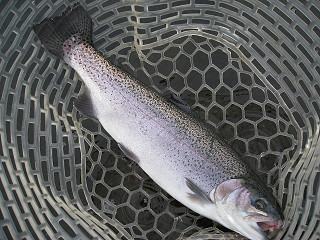 f0065341_10112499.jpg