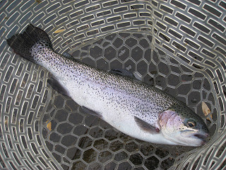 f0065341_10115371.jpg