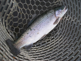 f0065341_10123728.jpg