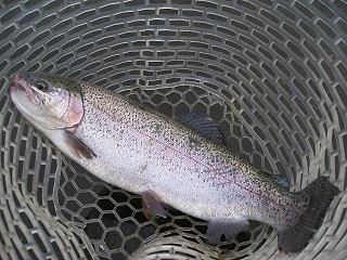 f0065341_10132067.jpg