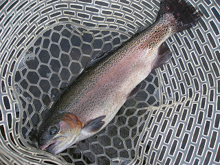 f0065341_107499.jpg