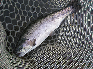 f0065341_1085618.jpg