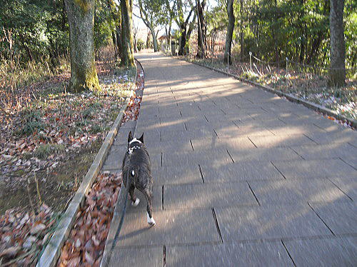 f0094843_2355833.jpg