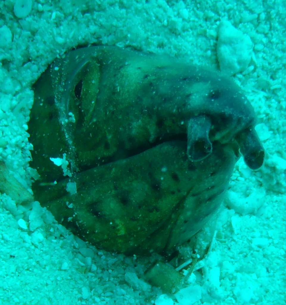 b0153550_2310021.jpg