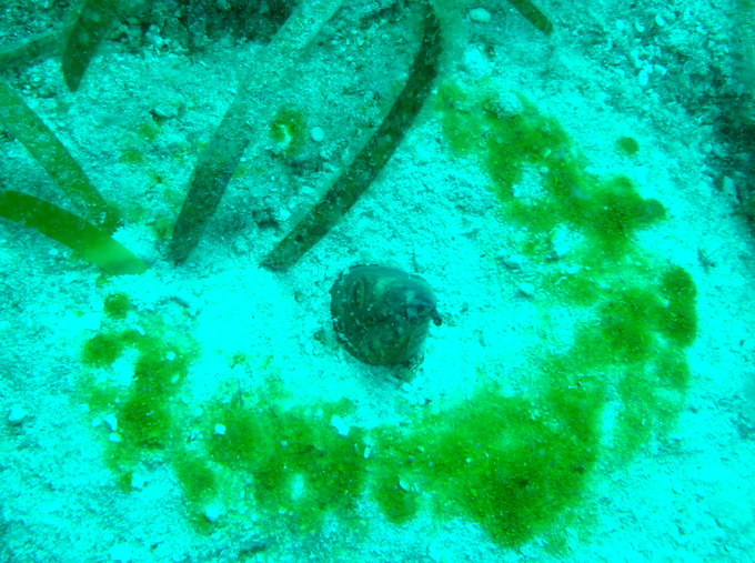 b0153550_2373099.jpg