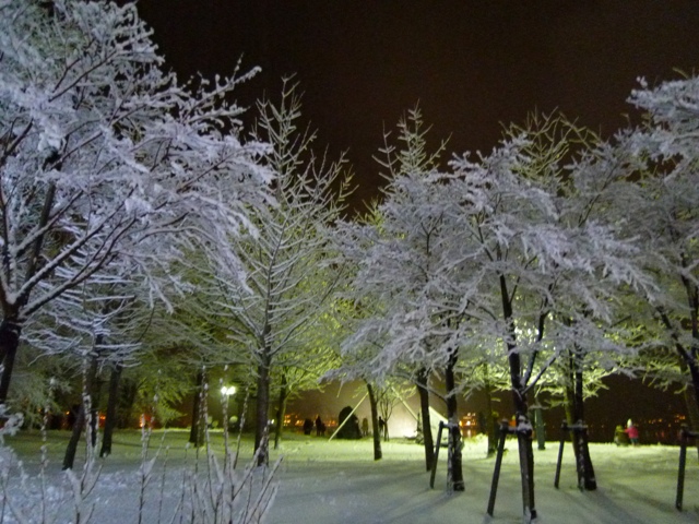 c0134862_18455540.jpg