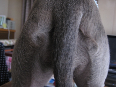 e0015964_2238778.jpg