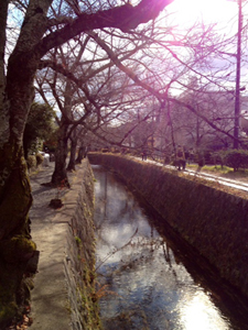 c0052470_16513365.jpg