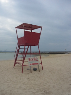 e0070577_2315593.jpg