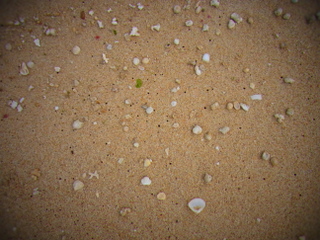 e0070577_23305927.jpg