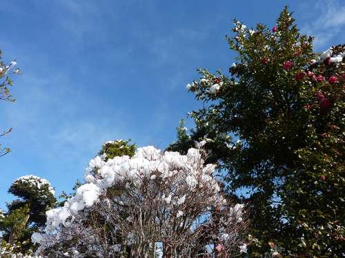e0207477_0454376.jpg