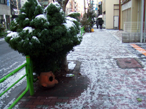 c0051781_1584522.jpg