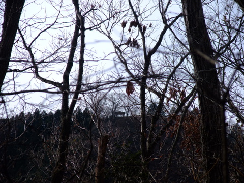 a0043982_19482872.jpg