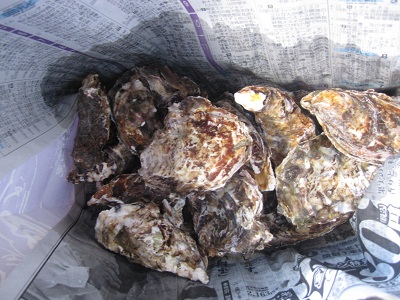 e0121583_20472310.jpg