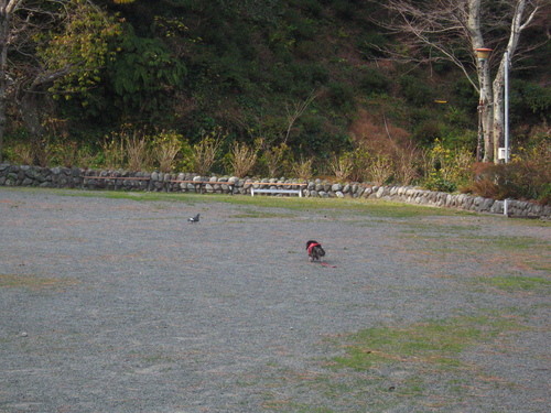 d0143284_3451666.jpg