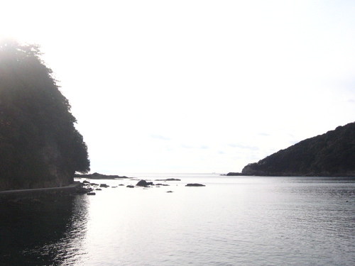 d0143284_354619.jpg