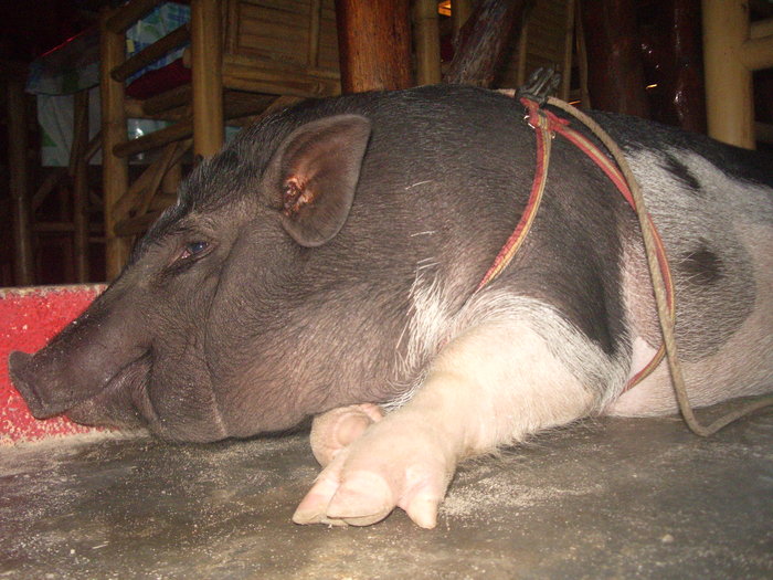 e0185092_20393047.jpg