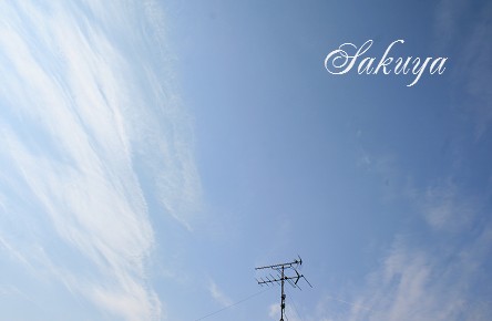 e0122194_1712799.jpg