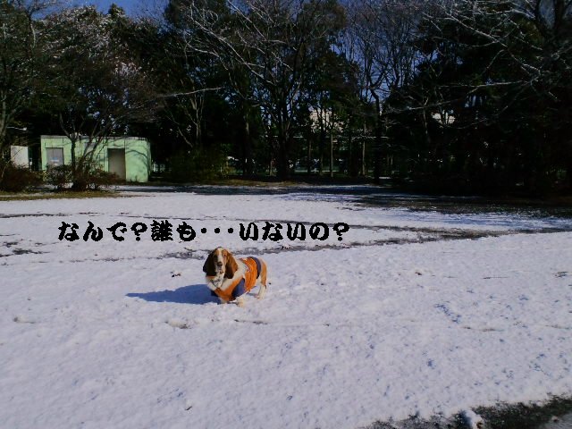 b0234697_7543175.jpg