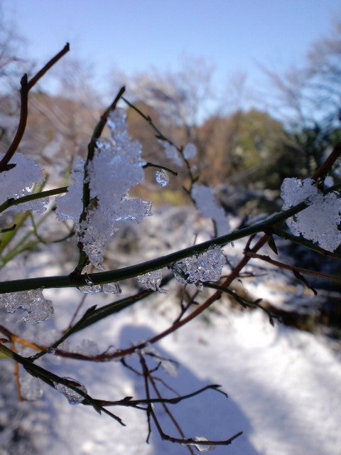 b0234697_754436.jpg