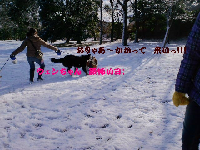 b0234697_7573432.jpg